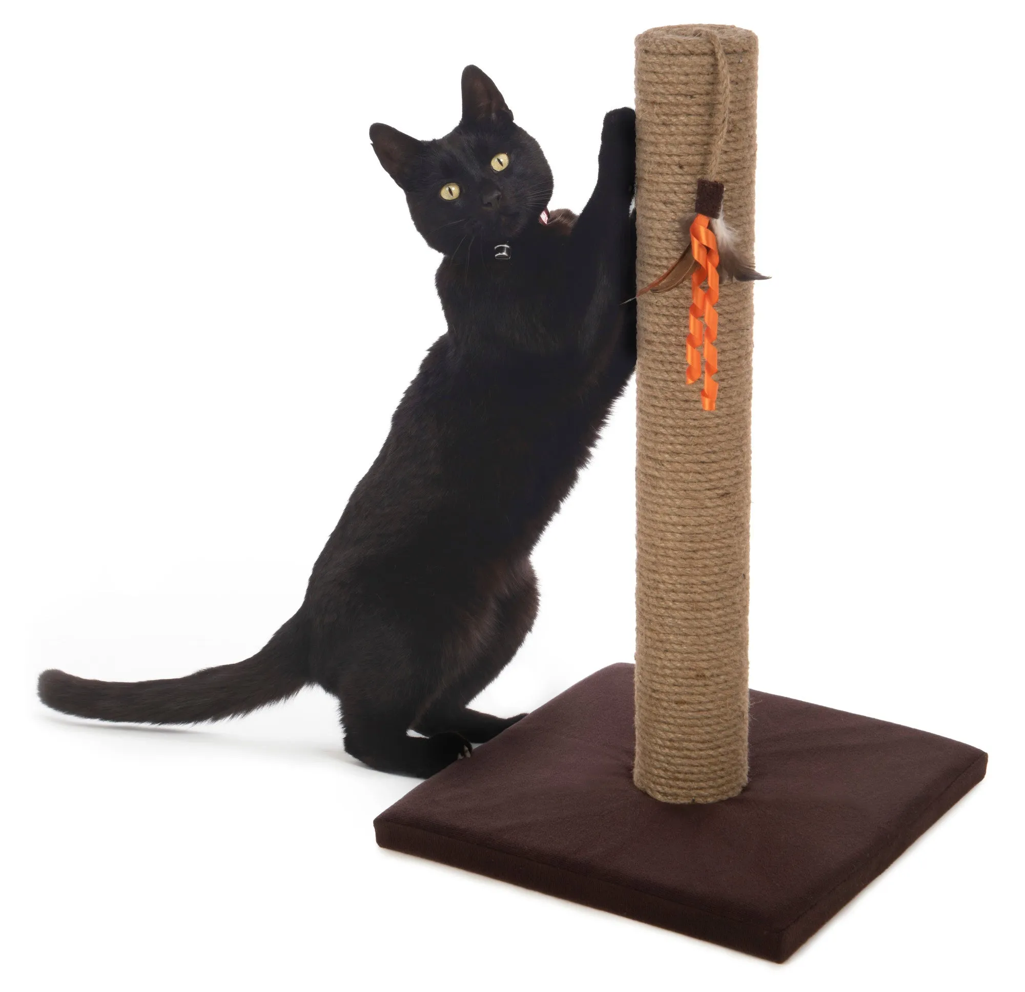 SmartyKat - Simply Scratcher Scratching Post