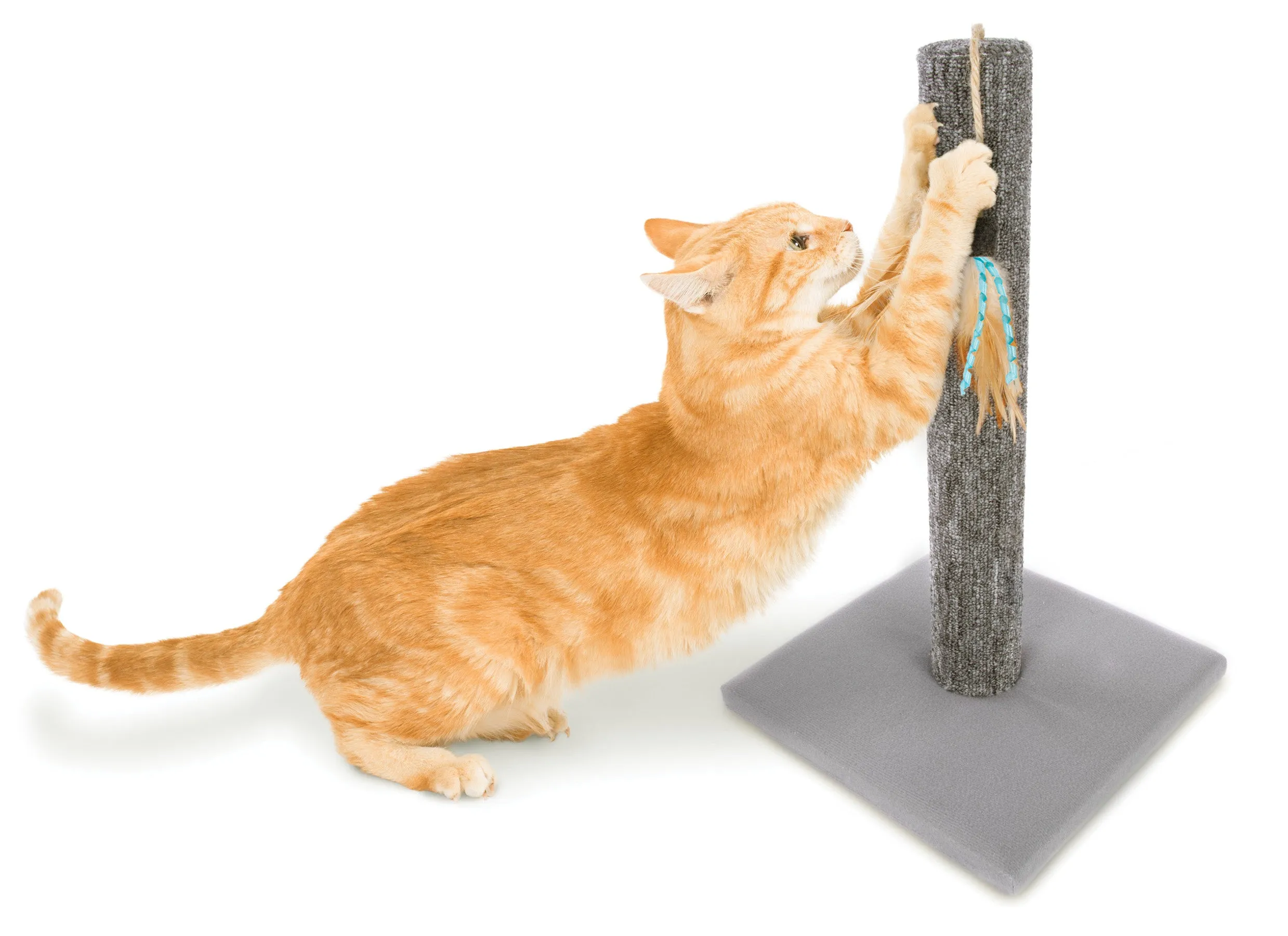 SmartyKat - Simply Scratcher Scratching Post