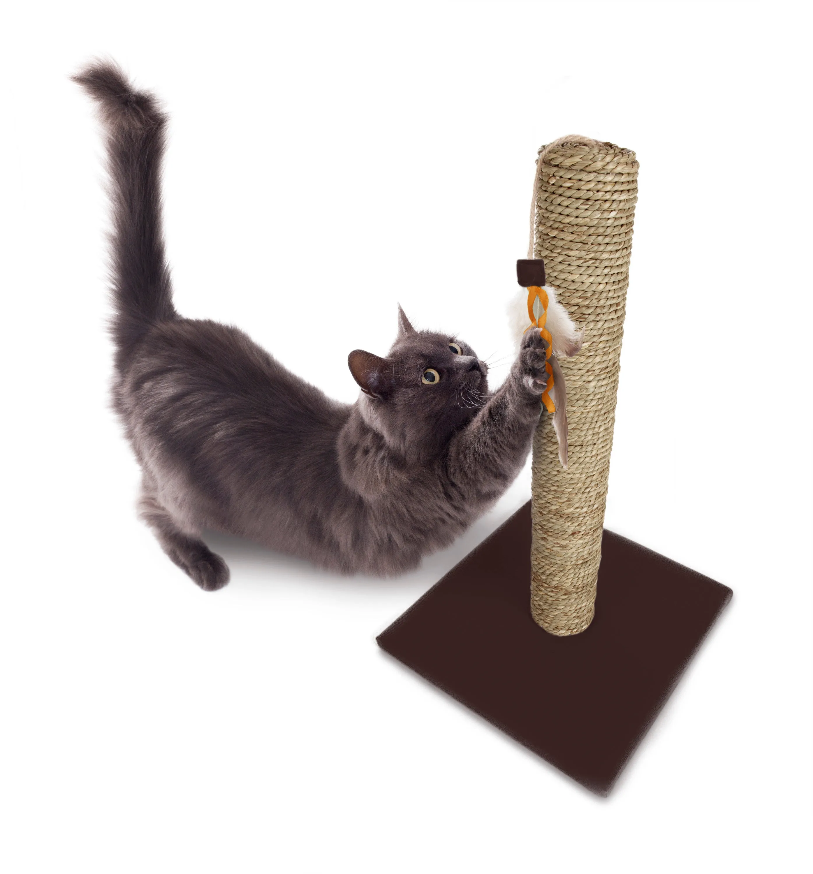 SmartyKat - Simply Scratcher Scratching Post