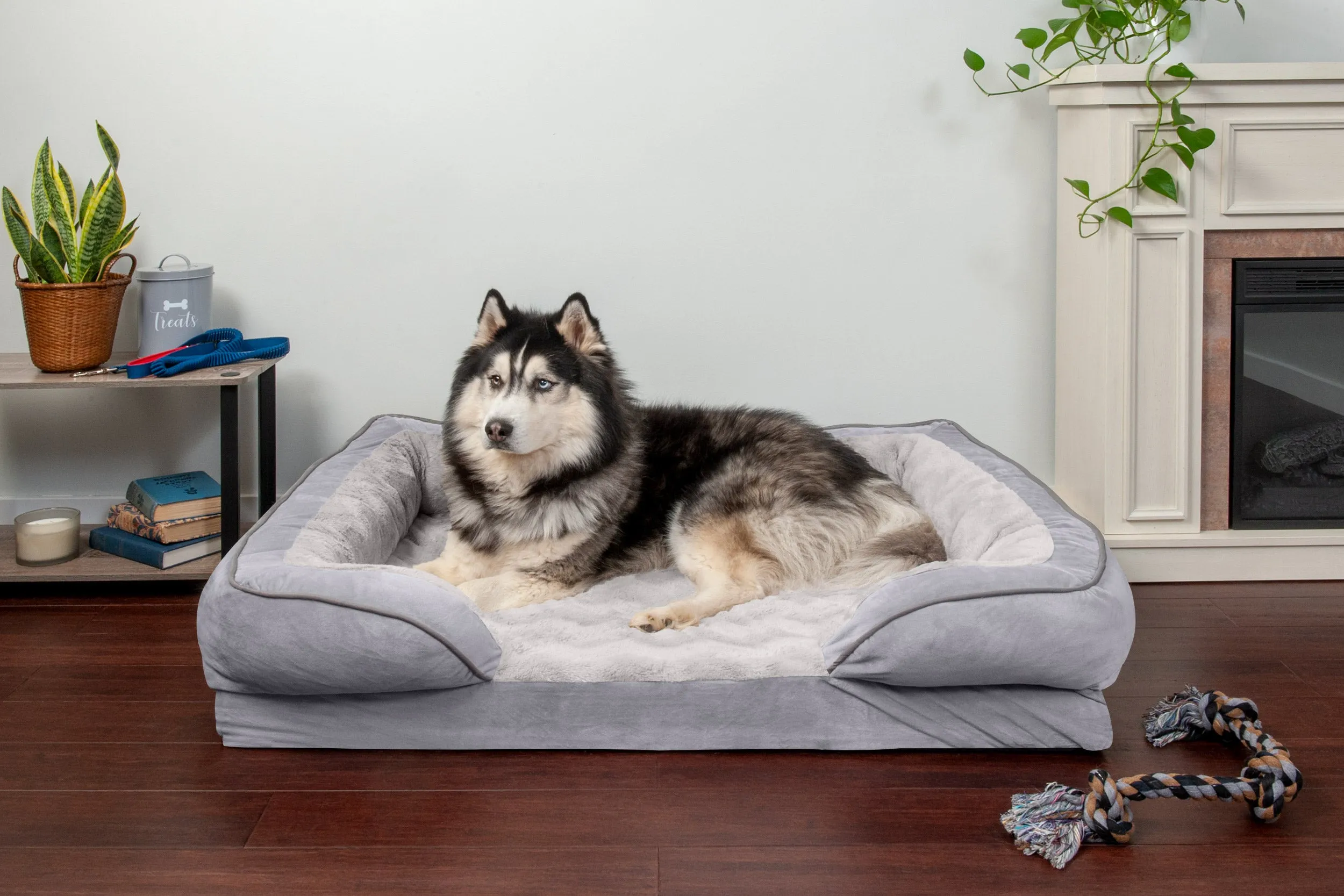 Sofa Dog Bed - Velvet Waves Perfect Comfort