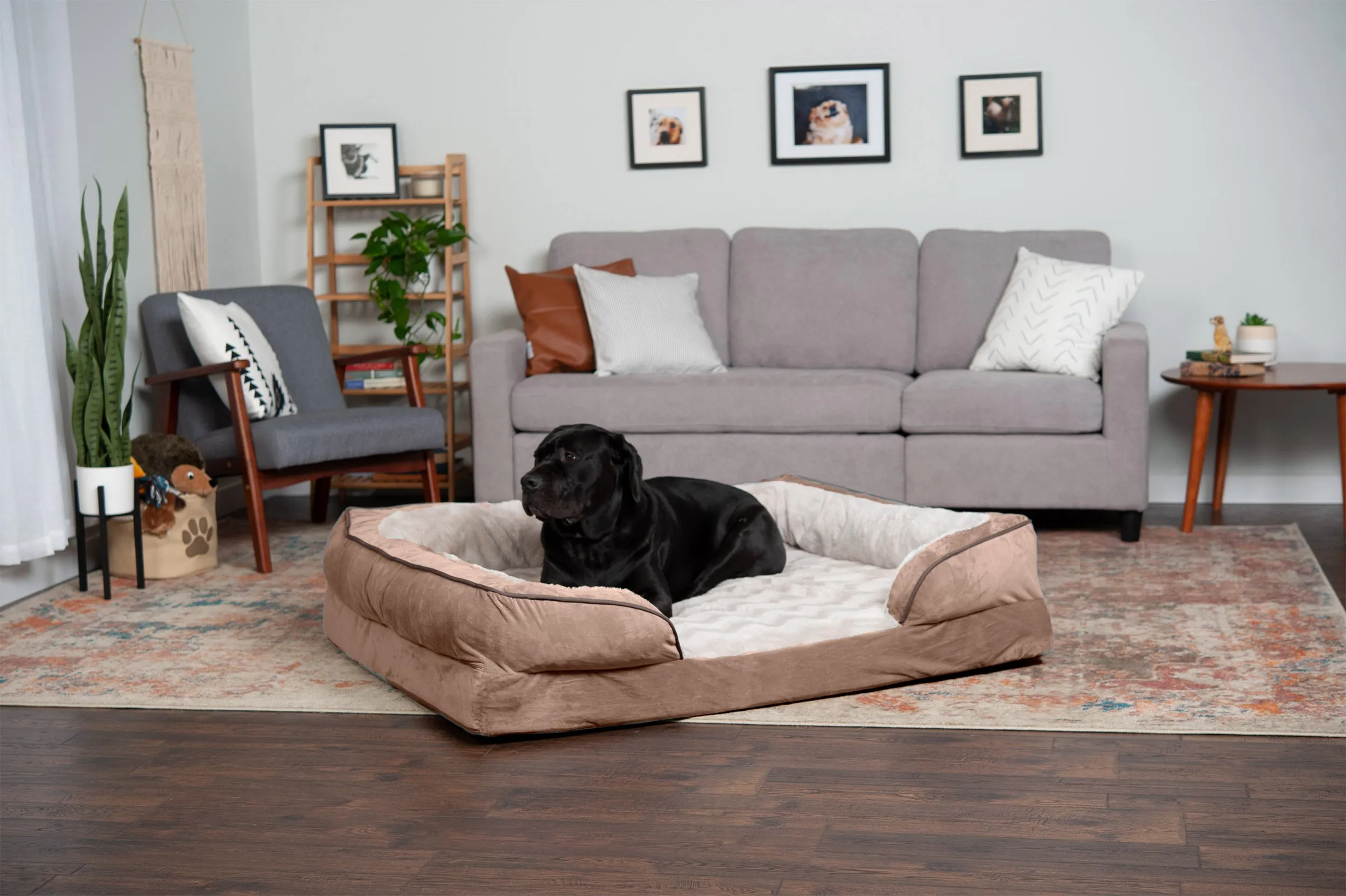 Sofa Dog Bed - Velvet Waves Perfect Comfort