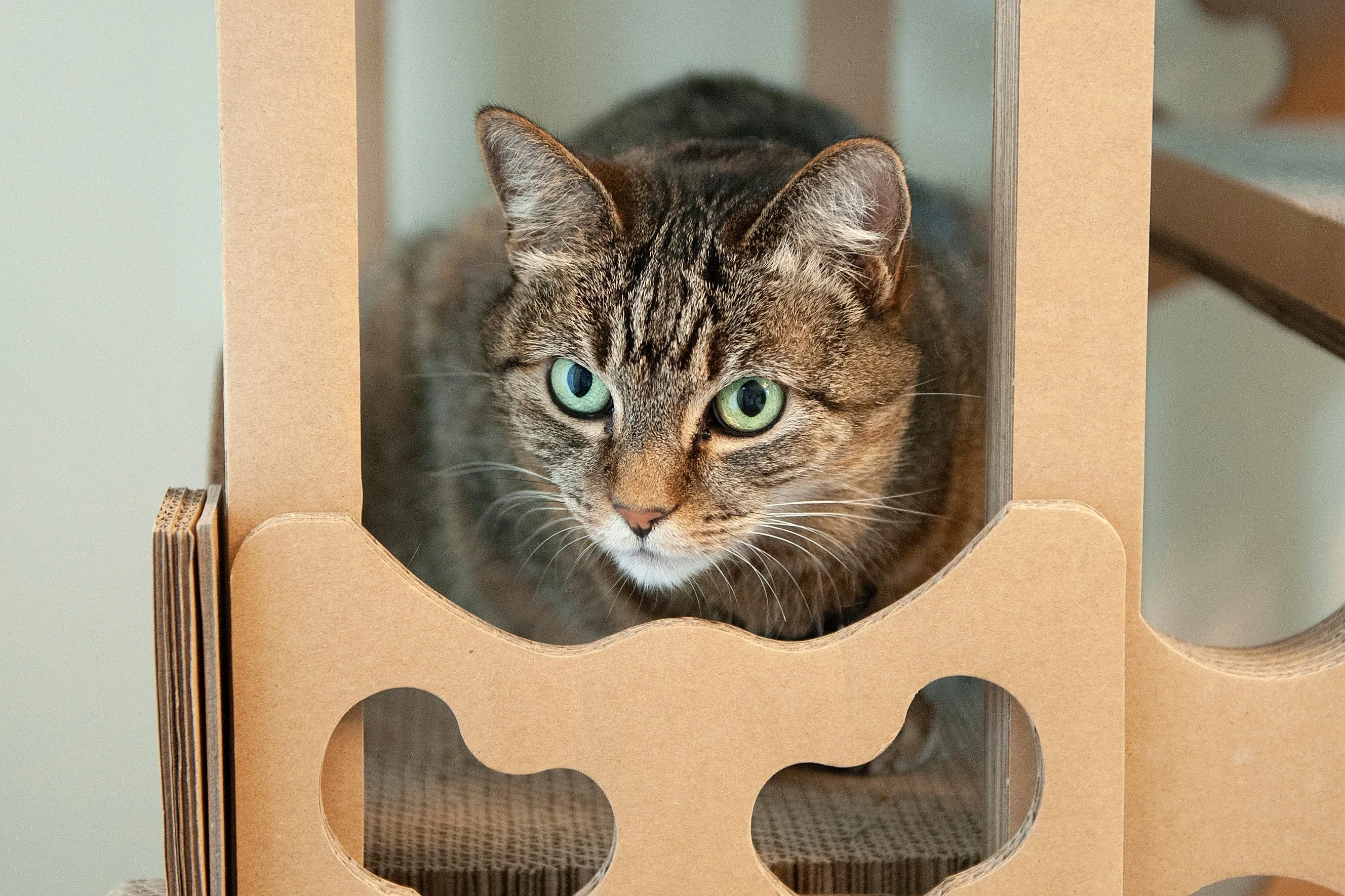 Tower Playground Corrugated Cat Scratcher with Catnip