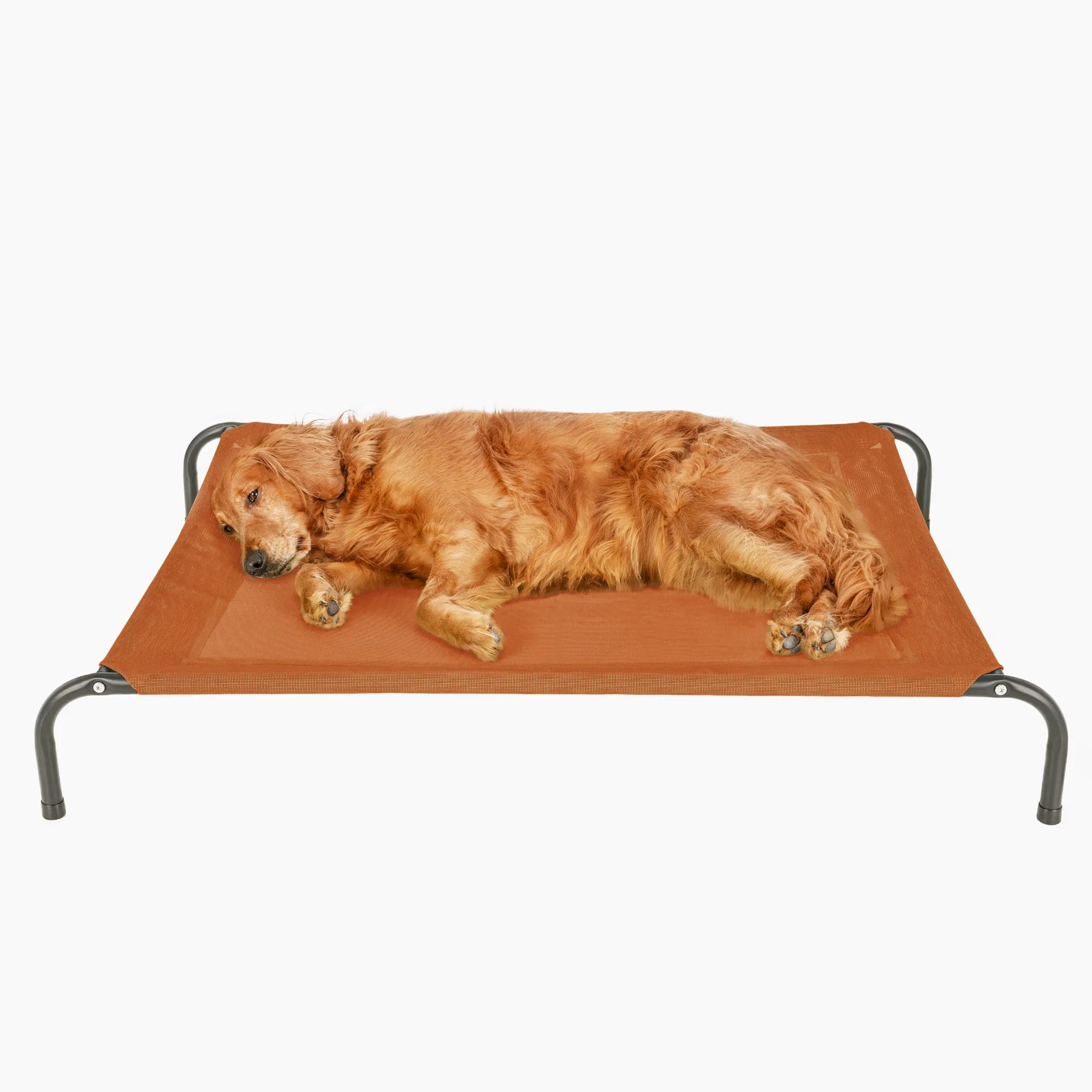 Water Resistant Elevated Pet Cot - Reinforced Mesh