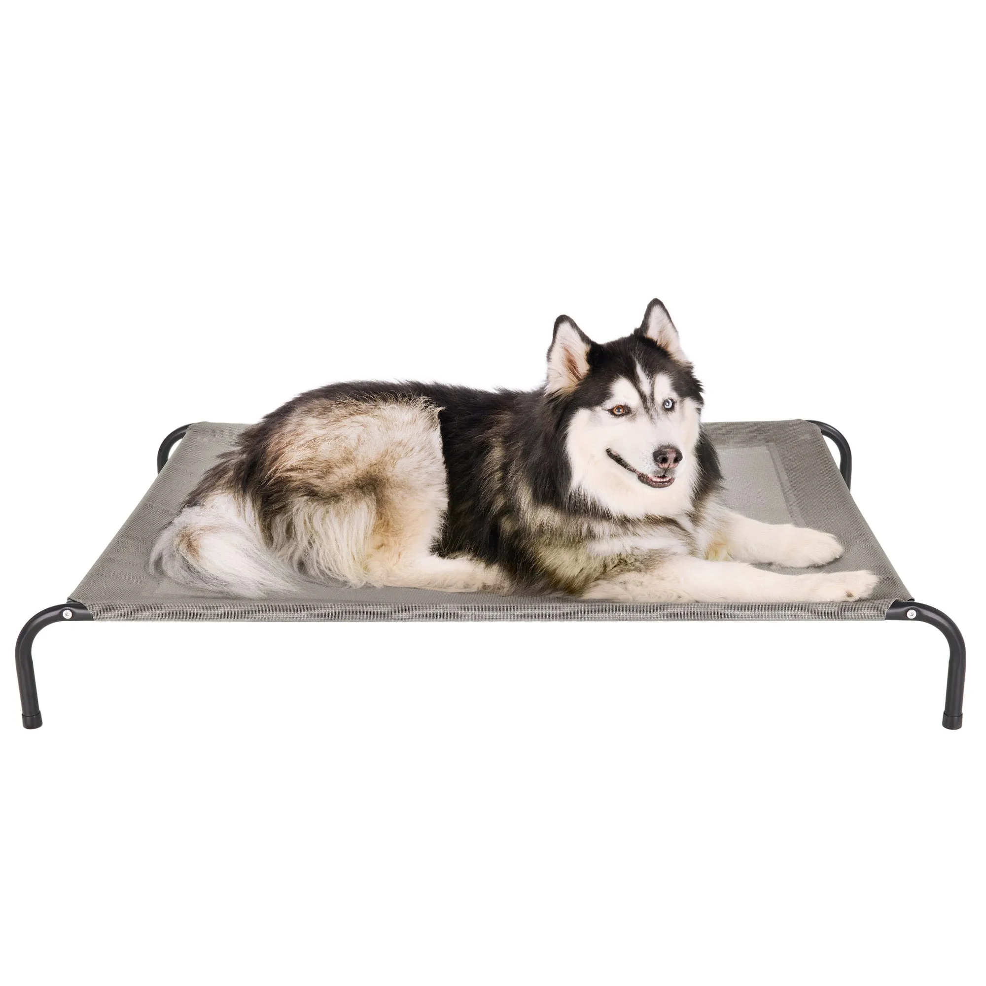 Water Resistant Elevated Pet Cot - Reinforced Mesh