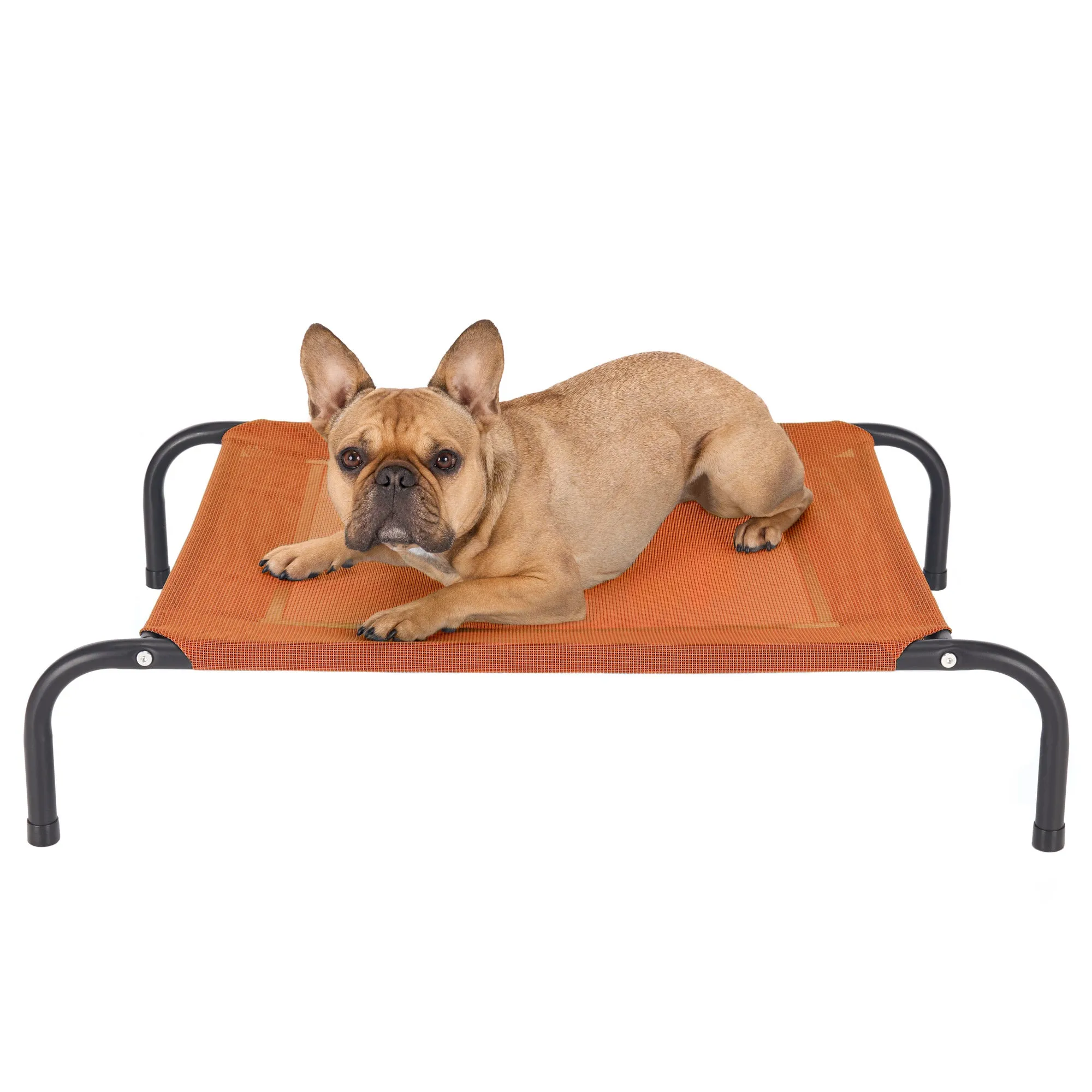 Water Resistant Elevated Pet Cot - Reinforced Mesh