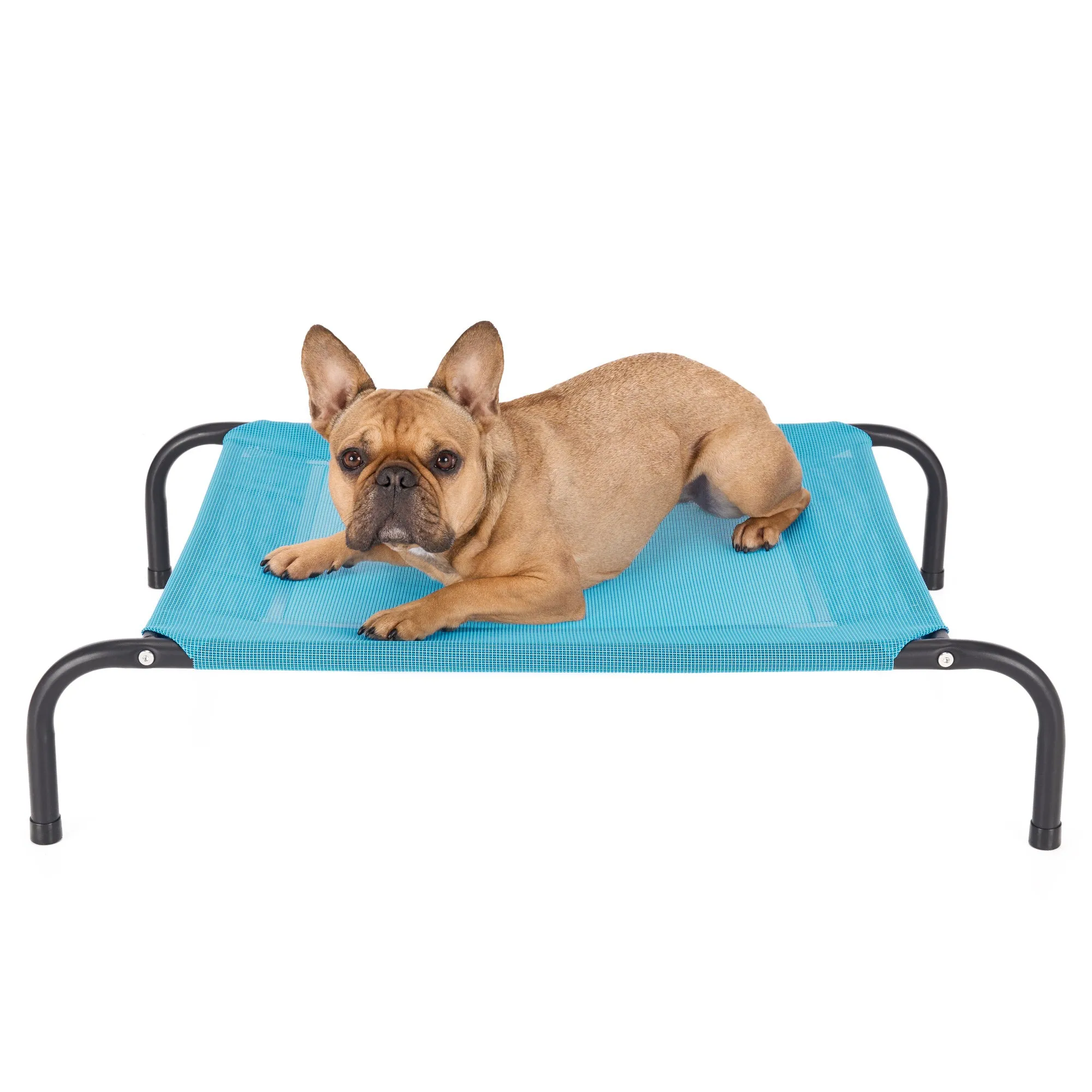 Water Resistant Elevated Pet Cot - Reinforced Mesh