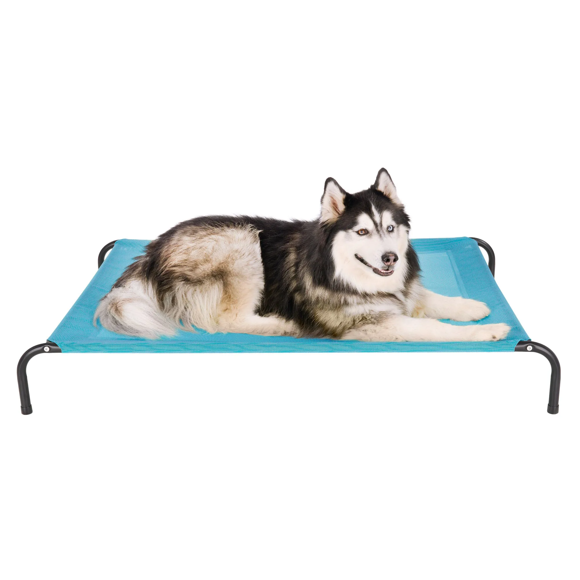 Water Resistant Elevated Pet Cot - Reinforced Mesh