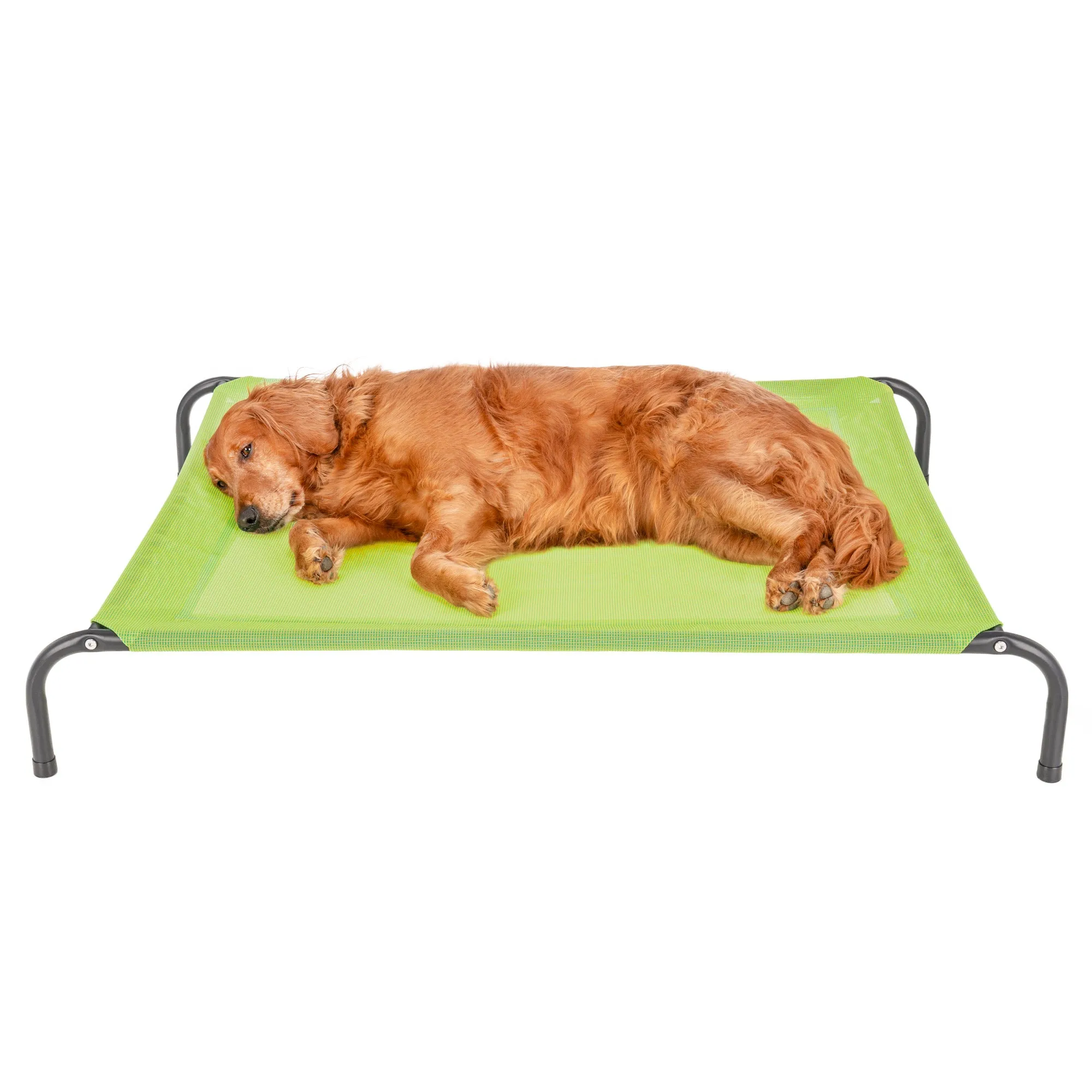 Water Resistant Elevated Pet Cot - Reinforced Mesh