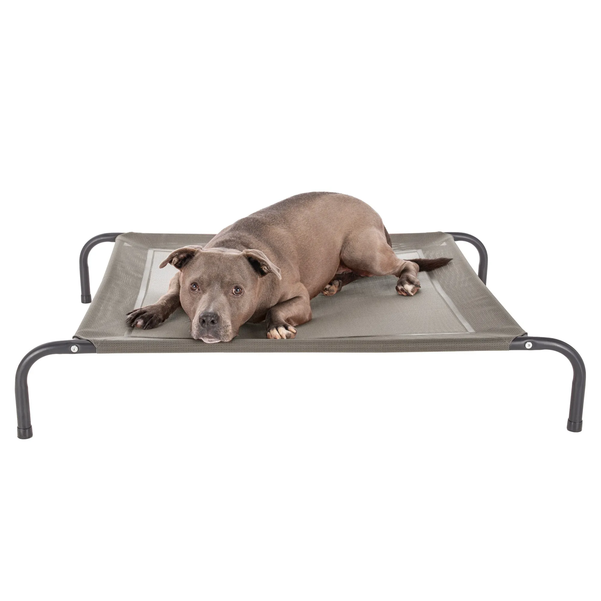 Water Resistant Elevated Pet Cot - Reinforced Mesh