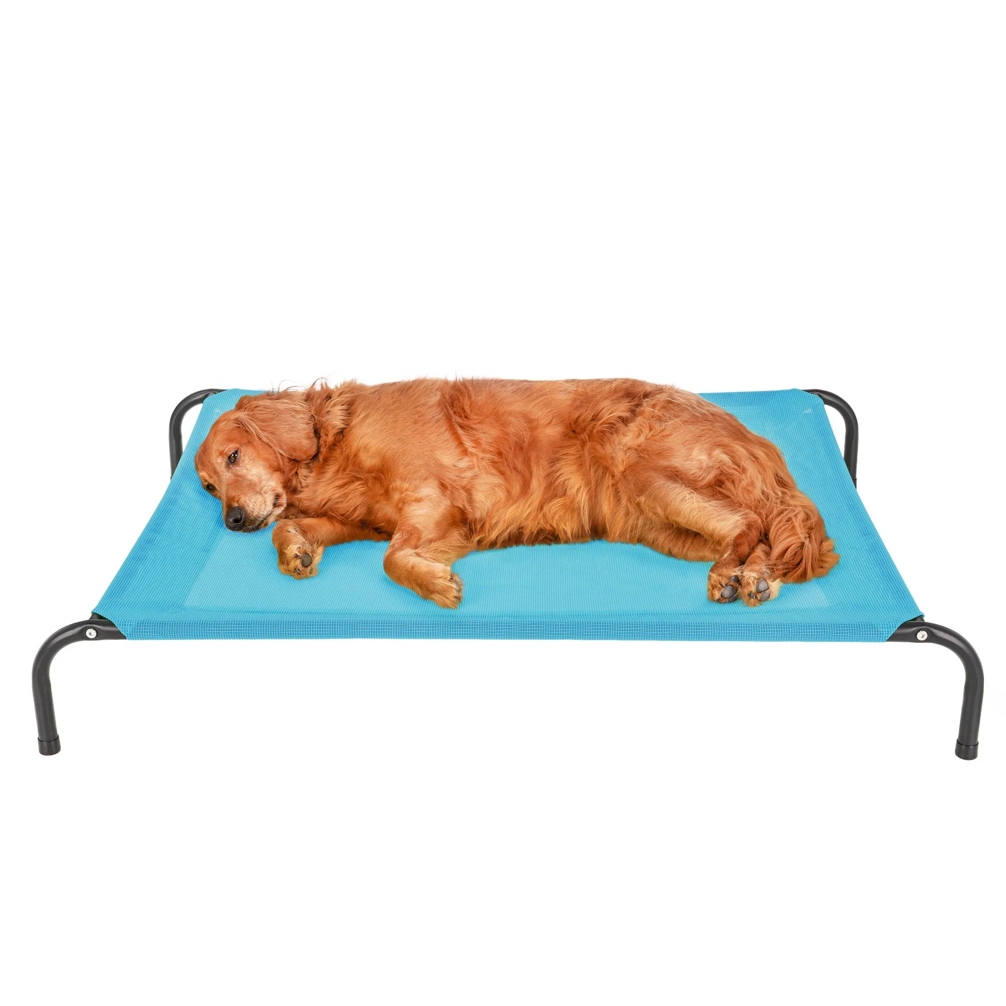 Water Resistant Elevated Pet Cot - Reinforced Mesh