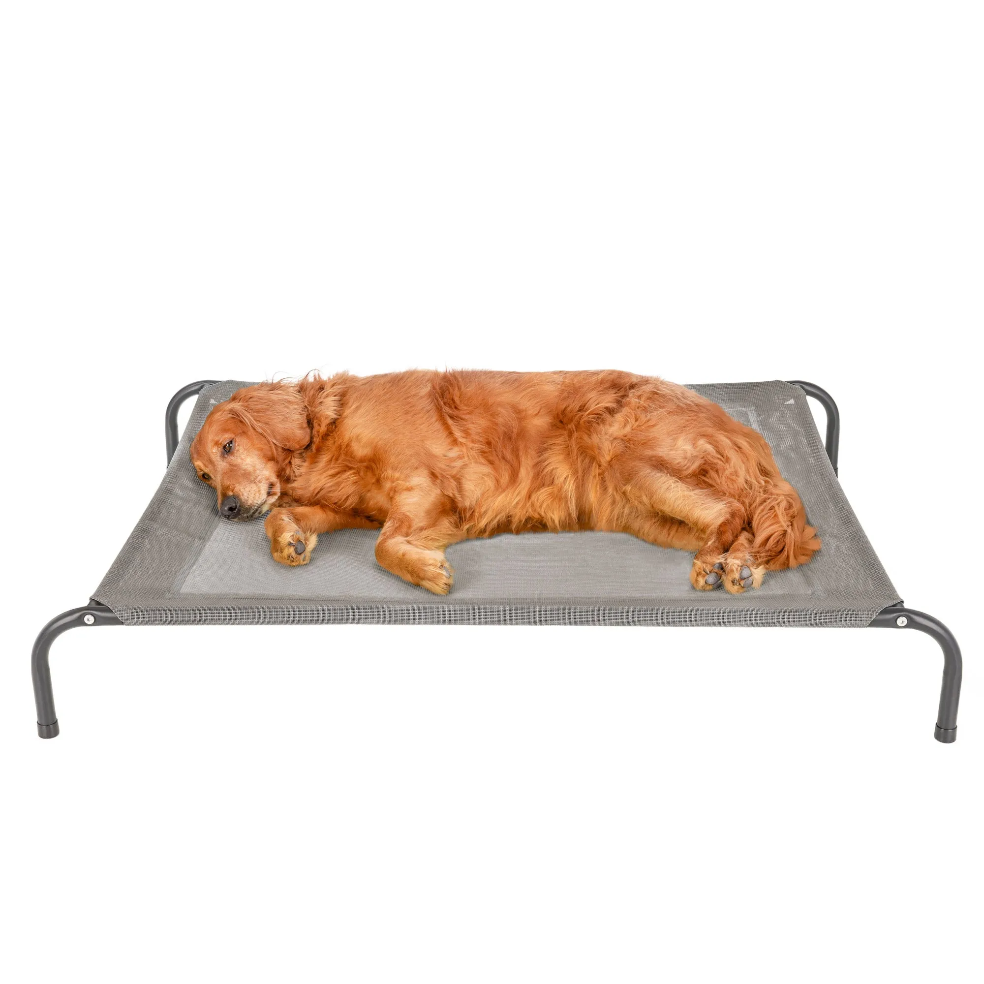 Water Resistant Elevated Pet Cot - Reinforced Mesh