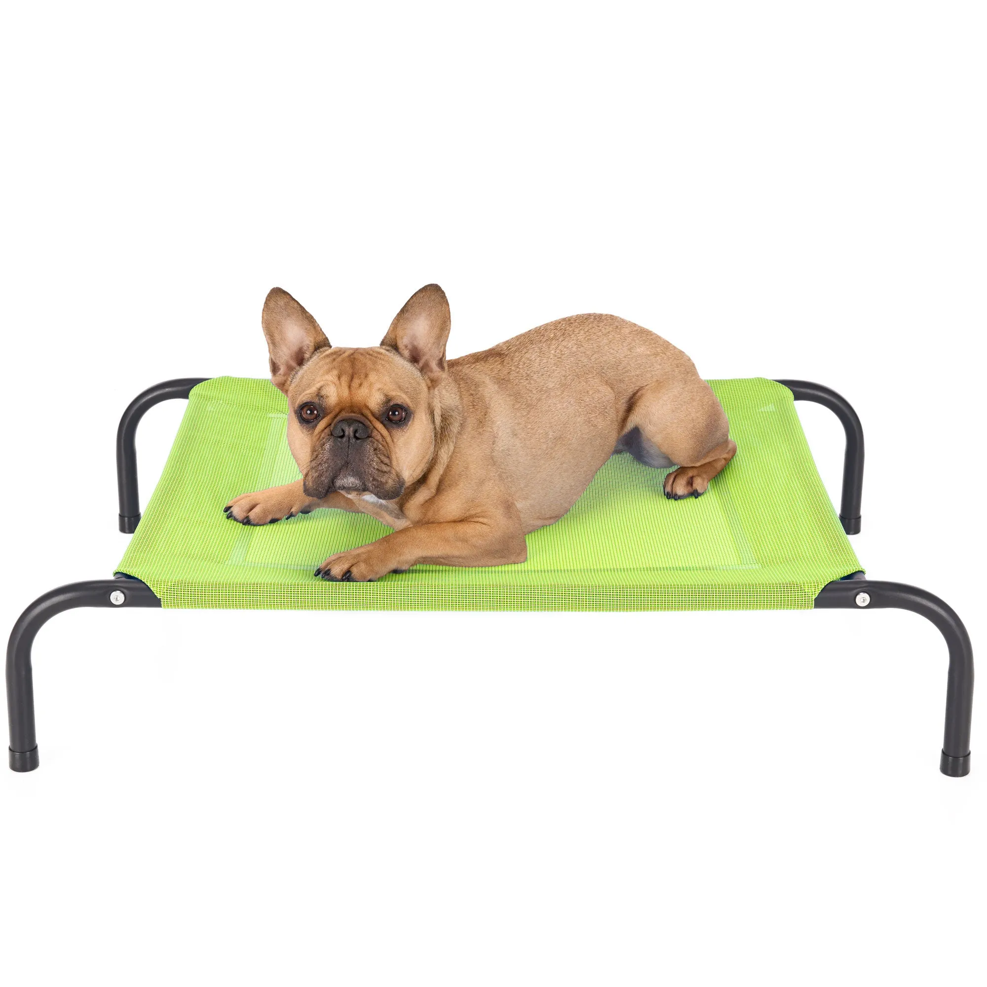 Water Resistant Elevated Pet Cot - Reinforced Mesh