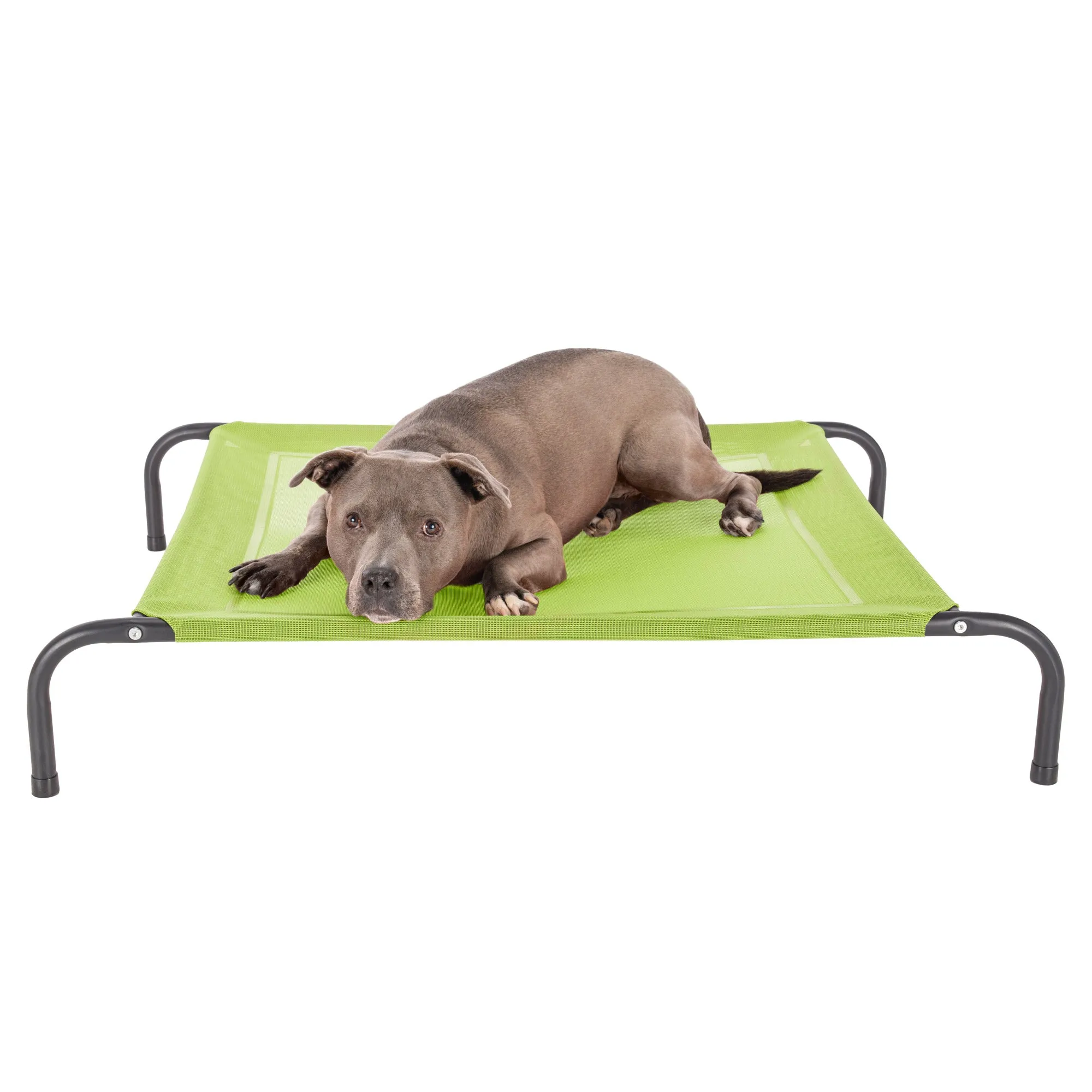 Water Resistant Elevated Pet Cot - Reinforced Mesh