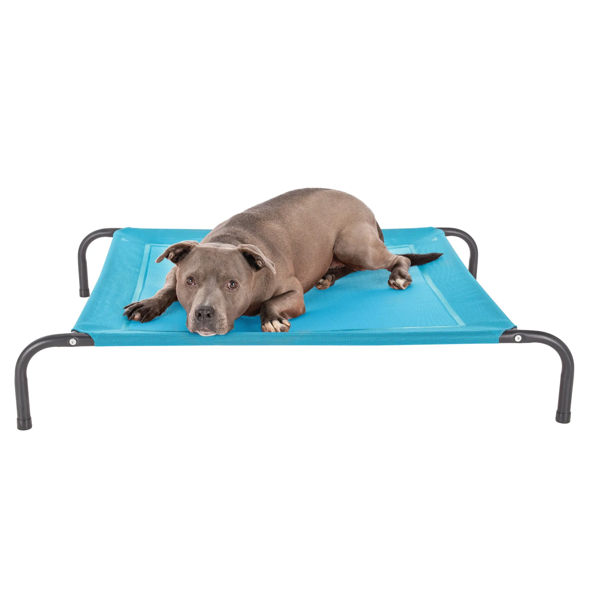 Water Resistant Elevated Pet Cot - Reinforced Mesh